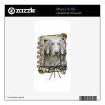Fathers Day - Stone Paws - Weimaraner Decals For The iPhone 4