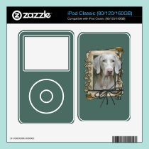 Fathers Day - Stone Paws - Weimaraner skins