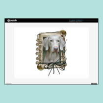 Fathers Day - Stone Paws - Weimaraner skins
