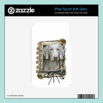Fathers Day - Stone Paws - Weimaraner skins