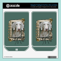 Fathers Day - Stone Paws - Weimaraner skins