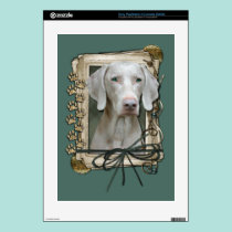 Fathers Day - Stone Paws - Weimaraner skins
