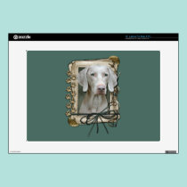Fathers Day - Stone Paws - Weimaraner skins