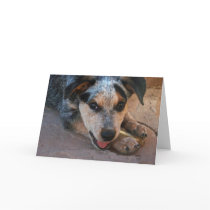 Father's Day Wishes - Best Dads are Dog Lovers Greeting Cards