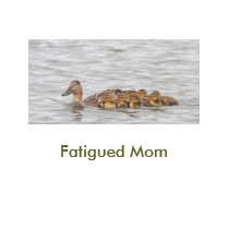 Fatigued Mom t-shirts by Tenderstorm Fatigued Mom t-shirts