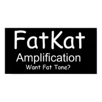 FatKat Amplification Poster posters