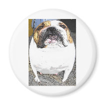 fatty bulldog magnets