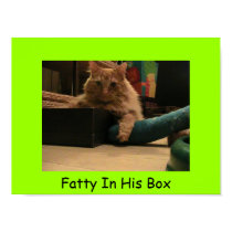 Fatty In His Box posters