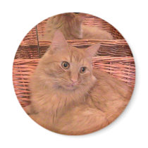 Fatty In The Looking Glass magnets