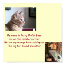 Fatty's Intro posters