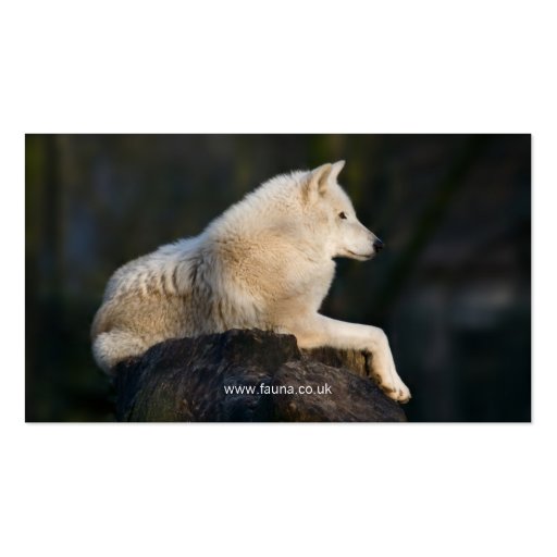 Fauna - Arctic Wolf Business Card (back side)