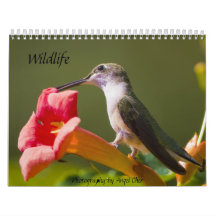 Fauna Calendarios