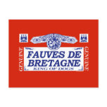 Fauves De Bretagne Post Cards