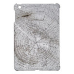 Faux Cracked Driftwood ipad mini cases