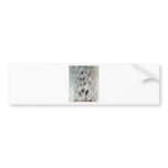 FAUX FUR CHEST HAIR BUMPER STICKERS