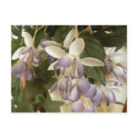 Faux Fuschia Postcard
