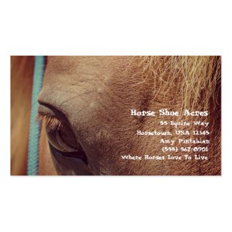 Faux Vintage Sorrel Horse Business Cards
