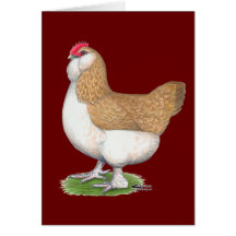 Faverolle Hen Card