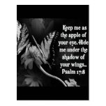 FAVORITE  BIBLE SCRIPTURE PSALM 17:8 POSTCARDS