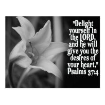 FAVORITE  BIBLE SCRIPTURE PSALM 37:4 POST CARDS
