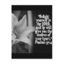 FAVORITE  BIBLE SCRIPTURE PSALM 37:4 POSTCARDS