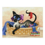 Favorite Blanket Postcard