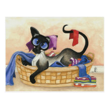 Favorite Blanket Postcard