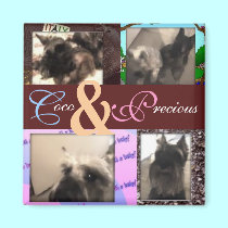 Favorite Pets Collage magnets