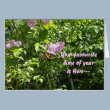 Favourite Time of Year-April Fool Cards