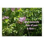 Favourite Time of Year-April Fool Cards