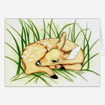 FAWN01