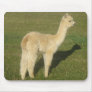 Fawn alpaca mouse pad