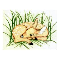 Fawn at Rest