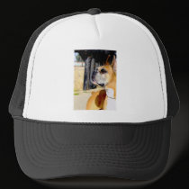 Fawn Boxer Dog hat by ritmoboxer Fawn Boxer Dog hat