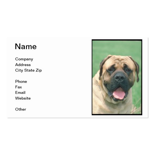 Fawn Bullmastiff Business Card (front side)