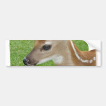 Fawn Bumper Sticker