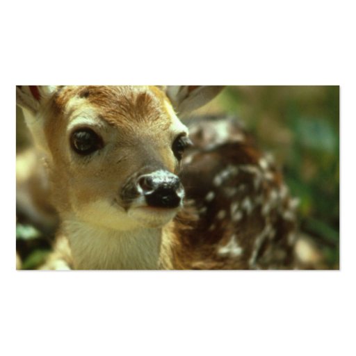 Fawn Business Card (back side)