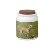 Fawn Chihuahua Dog Treat Candy Jar
