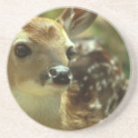 Fawn Coaster
