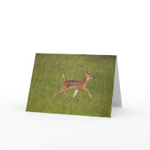 Fawn Greeting Card No. 7