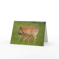 Fawn Greeting Card No. 8