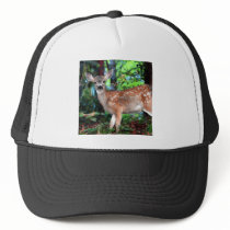 Fawn Mesh Hat
