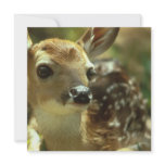 Fawn Invitations