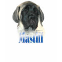 Fawn Mastiff Puppy Name T-Shirt