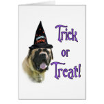 Fawn Mastiff Trick Card