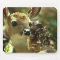 Fawn Mouse Pad