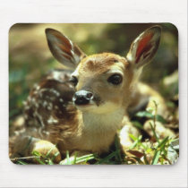 fawn Mousepad by Natures_Best_Images fawn Mousepad