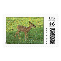 fawn postage
