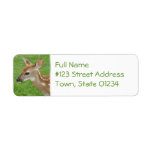 Fawn Return Address Ornament Custom Return Address Labels
