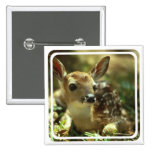 Fawn Square Pin